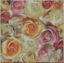 Colorker Nova Pavimento Rosas